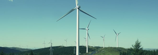 Wind turbines stretching into the distance