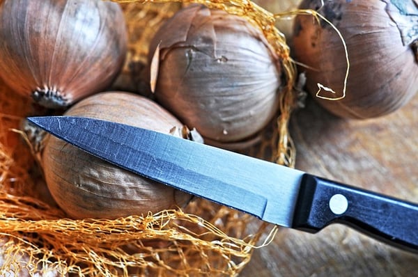 A steel knife and a pile of onions