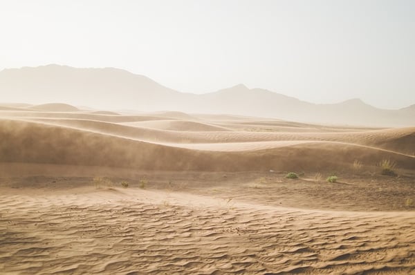 sand dunes in a desert